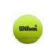 Wilson Padel Premier Speed 3-Ball Pot