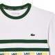 Lacoste Ultra Dry T-Shirt Green White